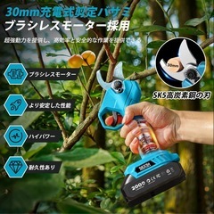 高枝 チェーンソー 電動 6インチ 充電式 剪定バサミ付き 一台四役 無段階伸縮ポール 軽量 強力モーター バッテリー2個付 コードレス 枝切りの画像