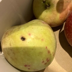 決定、ふじ　りんご15個の画像