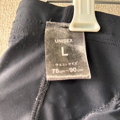 スノーボード　ヒップガード プロテクター黒 Lサイズ IGNIOの画像