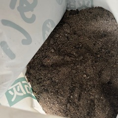 焚き火などで残った灰、炭
の画像