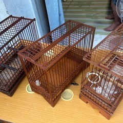 メジロ　カゴの画像