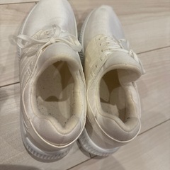 靴2足25cm
の画像