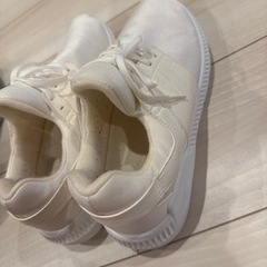 靴2足25cm
の画像