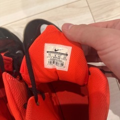 靴2足25cm
の画像