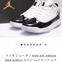 ナイキ　ジョーダン　マックスオーラ2の画像