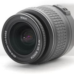 美品コンディション　小型軽量ボディで旅行におすすめ♪　Nikon D40Xの画像