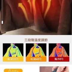 新品 電気毛布の画像