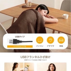 新品 電気毛布の画像