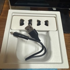 sound core P30iの画像