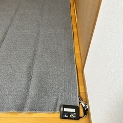 ⭐︎お受渡し決定⭐︎⭐︎ホットカーペット　の画像