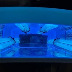 お値下げしました！ネイルドライヤーの画像