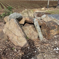 庭石の画像