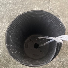 必要な方がいれば^_^の画像