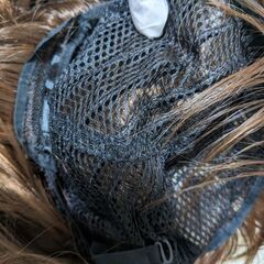 ウィッグの画像