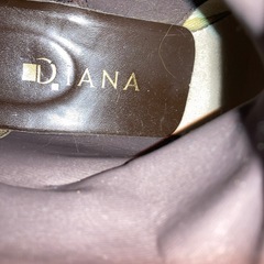 ダイアナのブーツの画像