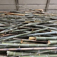 竹の引き取り　　　無料の画像