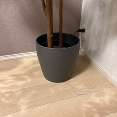 IKEA フェイカ　フェイクグリーンの画像