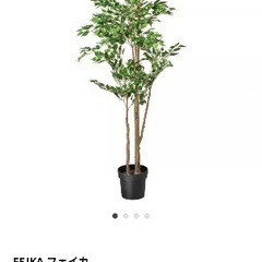 IKEA フェイカ　フェイクグリーンの画像