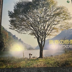 中販紅　【Week】ワールド　ファミリーレコード株式会社　世界の愛唱歌　ダークダックス／ボニー　ジャック　1〜12 LPレコード 現状渡し　11-02-09 の画像