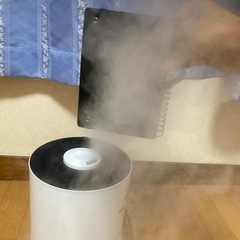 無料　加湿器　Nobelbird製 TY-2023の画像