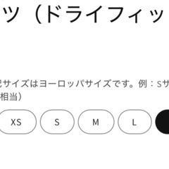 【フーデリ】Ｔシャツ（ドライフィット）　XL　新品未使用の画像