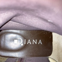 ダイアナのブーツ②の画像