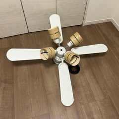シーリングファンライトの画像