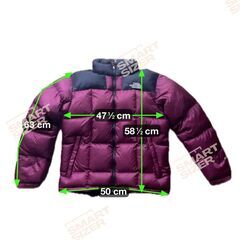 クリーニング済 The North Face サミットシリーズ 800 ダウンジャケット ヌプシ L ノースフェイスの画像