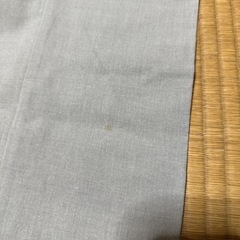 スラックスの画像