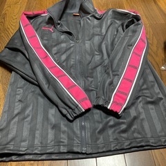 レディースの画像