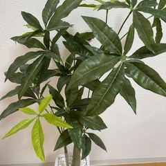 フェイクグリーン　パキラ　人工観葉植物の画像