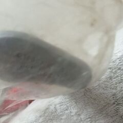 ウルトラマンシリーズ　ウルトラマンBIGサイズソフビの画像