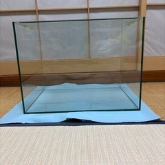 フレームレス 水槽値下げ可能の画像