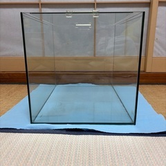 フレームレス 水槽値下げ可能の画像
