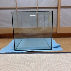 フレームレス 水槽値下げ可能の画像