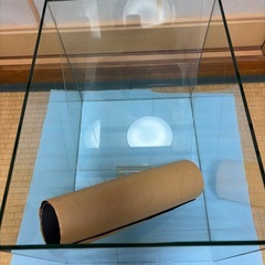 フレームレス 水槽値下げ可能の画像