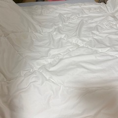 抗菌防臭掛ふとん シングルの画像