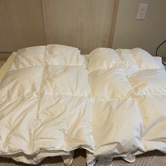 敷布団と掛け布団セットの画像