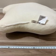 新品未使用　PEANUTS スヌーピー　チャーリーブラウン　クッションの画像