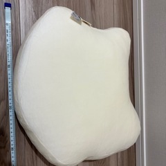 新品未使用　PEANUTS スヌーピー　チャーリーブラウン　クッションの画像