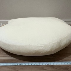 新品未使用　PEANUTS スヌーピー　チャーリーブラウン　クッションの画像