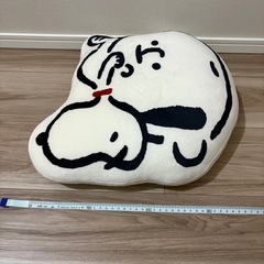 新品未使用　PEANUTS スヌーピー　チャーリーブラウン　クッションの画像