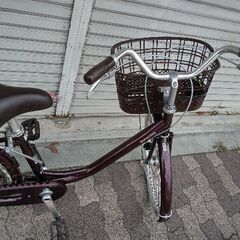 [BRIDGESTONE]Alumiu(アルミーユ)24吋 ファミリーサイクル シングル/点灯虫/カラメルブラウンの画像