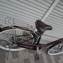 [BRIDGESTONE]Alumiu(アルミーユ)24吋 ファミリーサイクル シングル/点灯虫/カラメルブラウンの画像