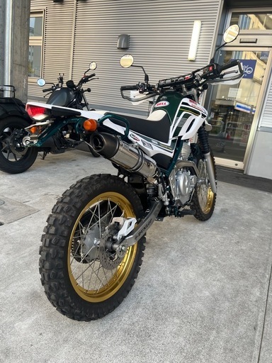 セロー250ファイナルエディション緑