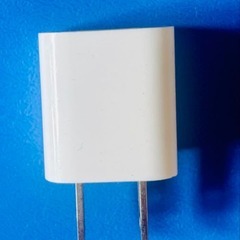 Apple純正アダプター ＋ Tamas製Lightningケーブル セットの画像