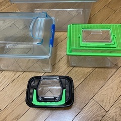 虫かご4種
の画像