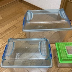 虫かご4種
の画像