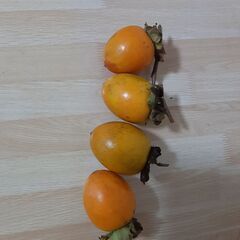 兵庫県産 吊るし柿 渋柿、干し柿、干柿、焼酎漬け、渋抜き　10個の画像