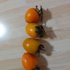 兵庫県産 吊るし柿 渋柿、干し柿、干柿、焼酎漬け、渋抜き　10個の画像